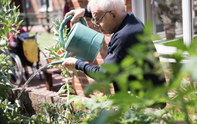 Elderly man watering plants in a garden with a green watering can on a sunny day.